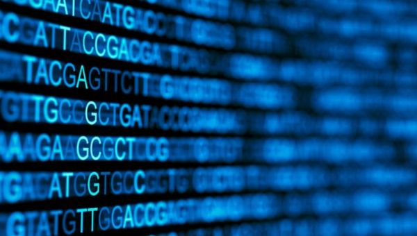 Image_20260202-SNP-GBS